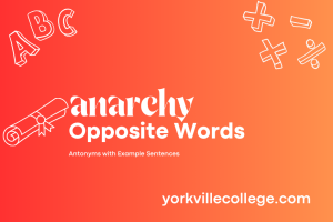 What Is The Opposite of Anarchy? - Example Sentences