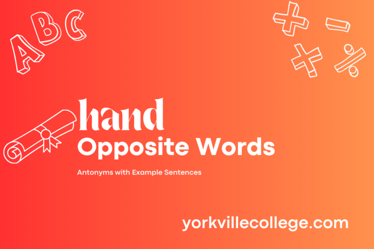 Opposite of Hand