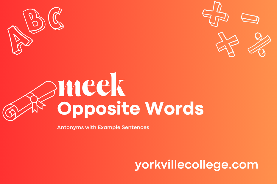 Opposite of Meek