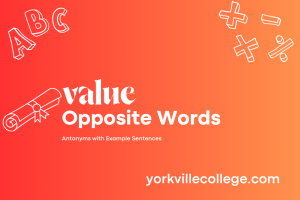 What Is The Opposite of Value? - Example Sentences