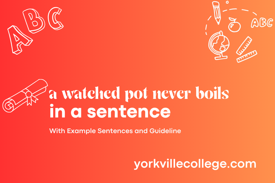 a watched pot never boils in a sentence