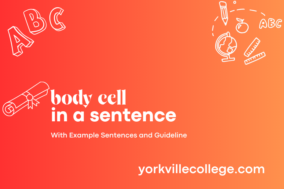 body cell in a sentence