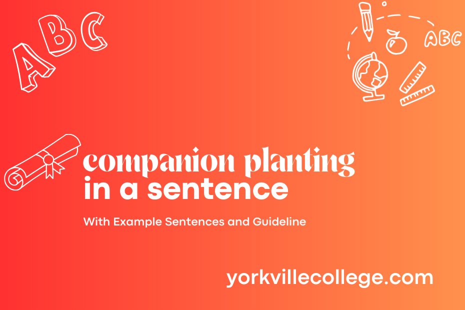 companion planting in a sentence