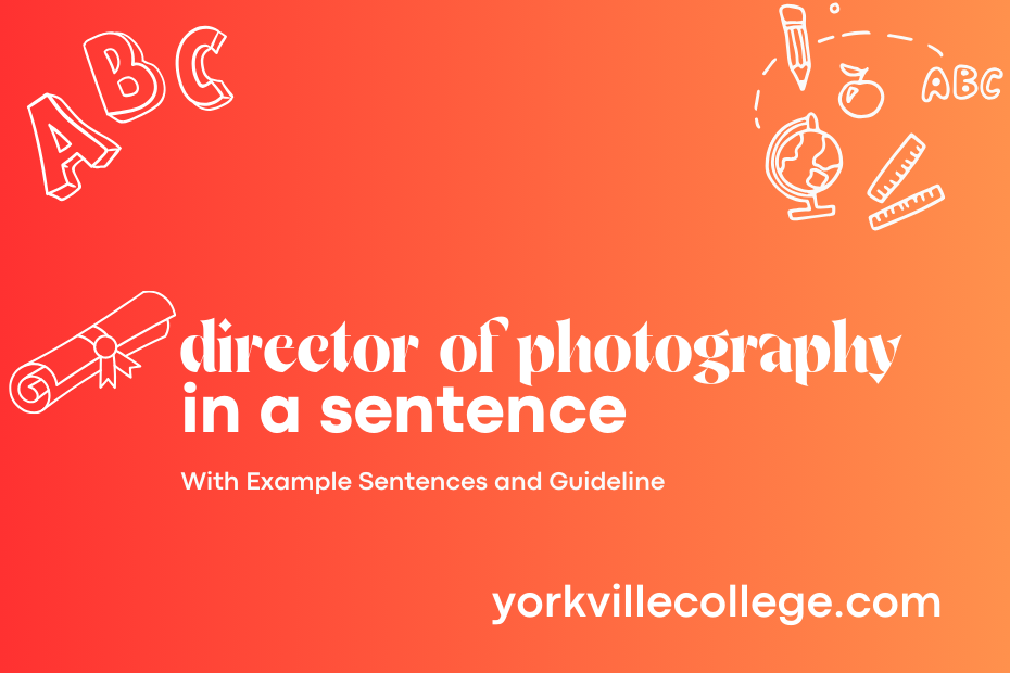 director of photography in a sentence