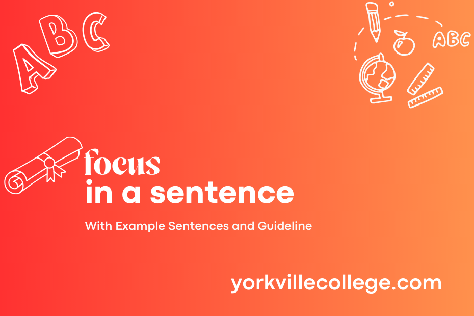 focus in a sentence