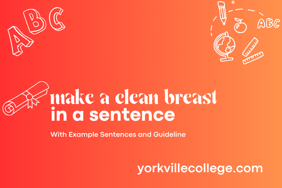 make a clean breast in a sentence