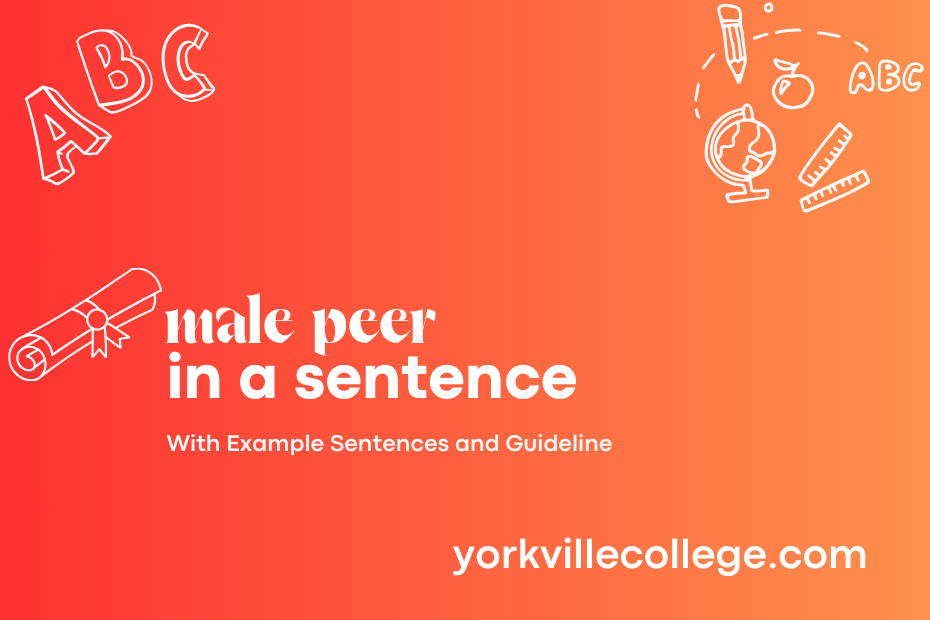 male peer in a sentence