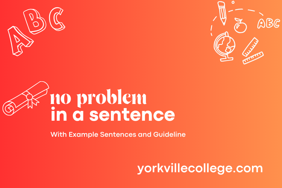 no problem in a sentence