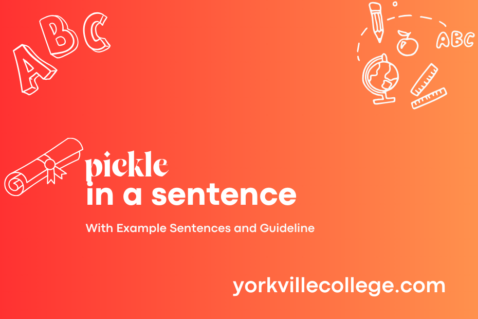 pickle in a sentence