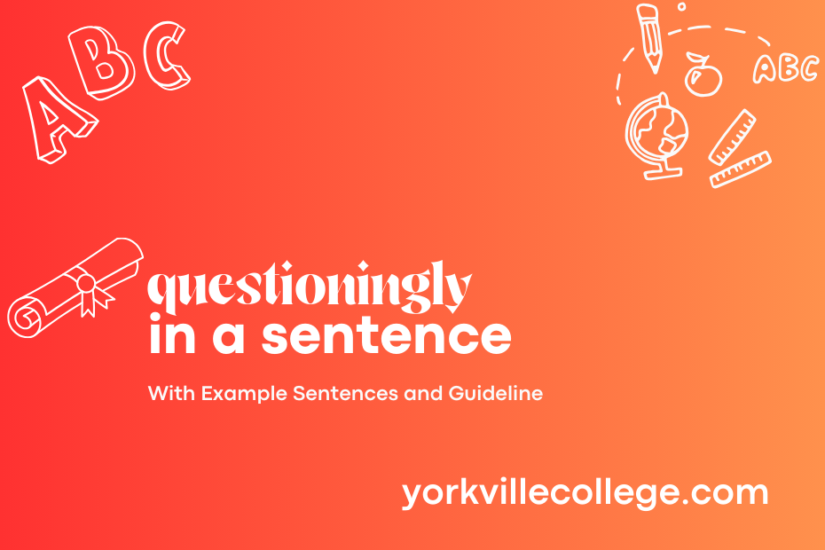 questioningly in a sentence