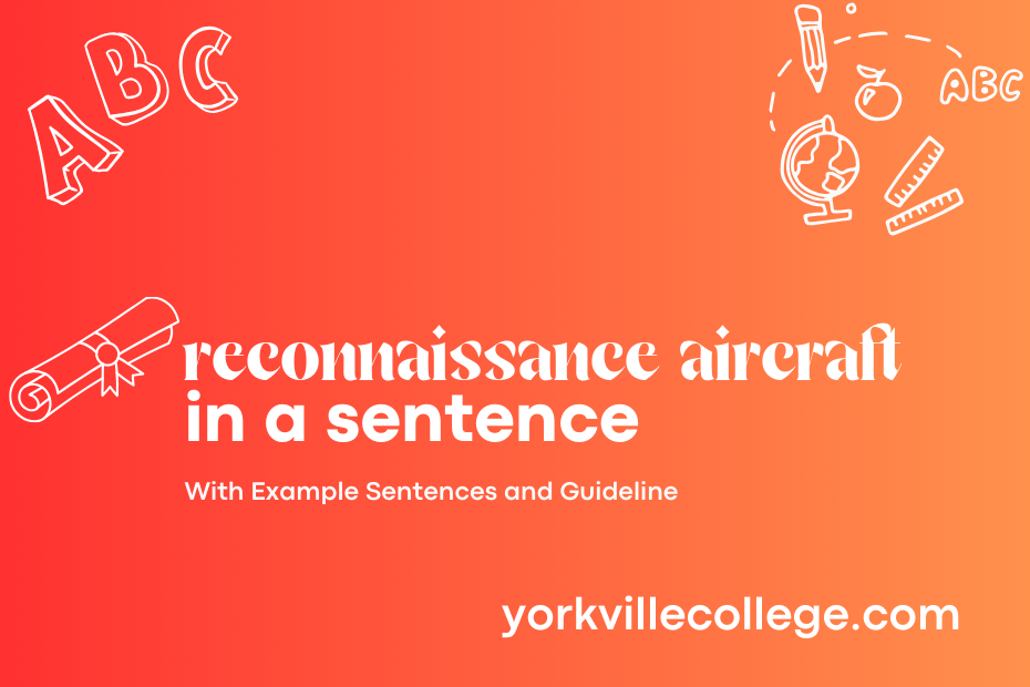 reconnaissance aircraft in a sentence