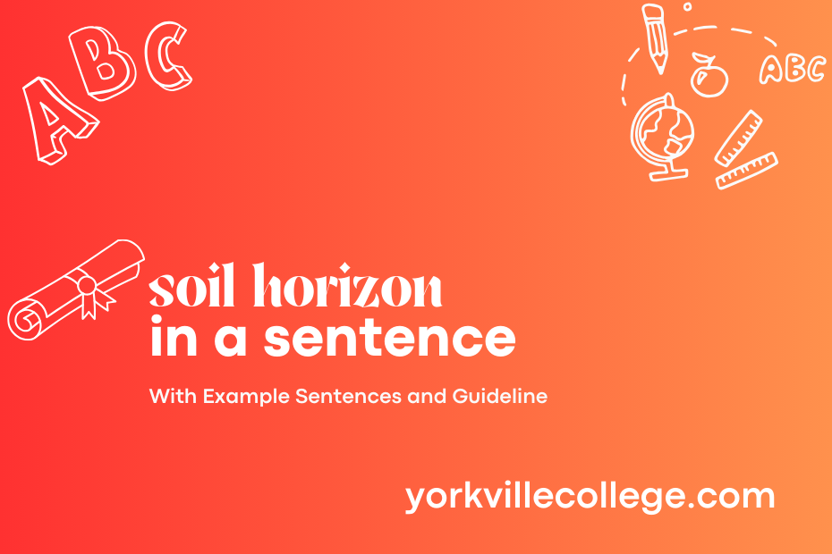 soil horizon in a sentence