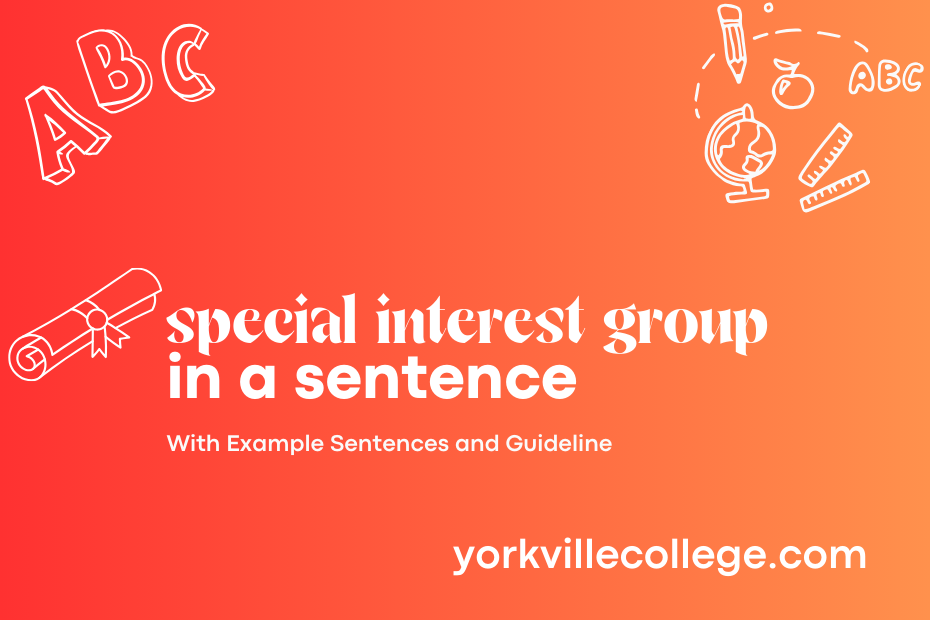 special interest group in a sentence